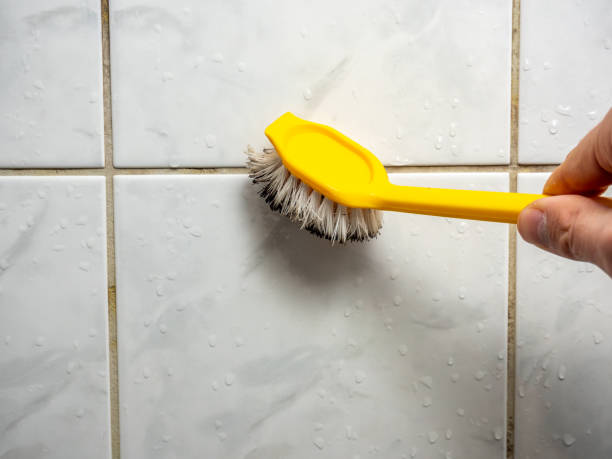 Best Mold Testing and Inspection Services in Belding, MI