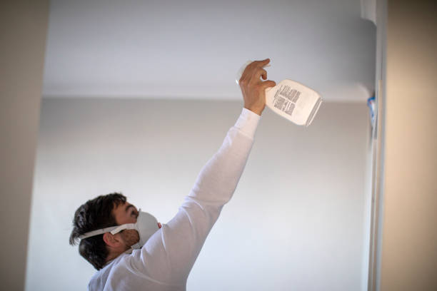 Best Insurance-Related Mold Remediation in Belding, MI