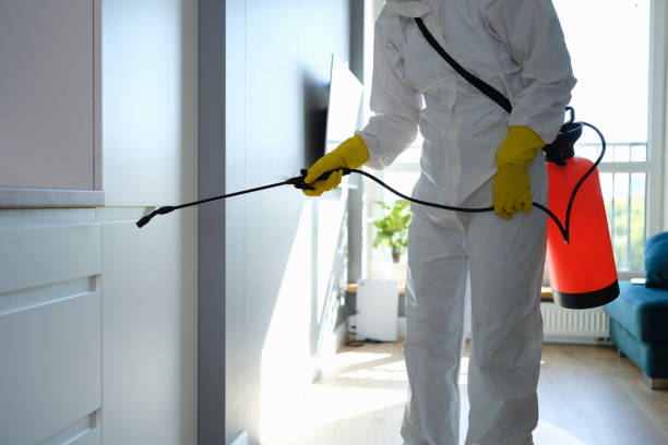 Best Mold Remediation for Schools in Belding, MI