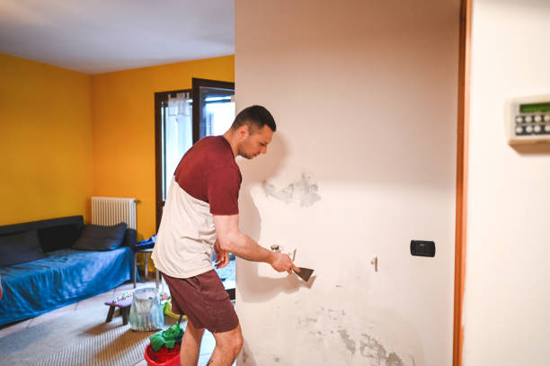 Best Health and Safety Mold Remediation in Belding, MI